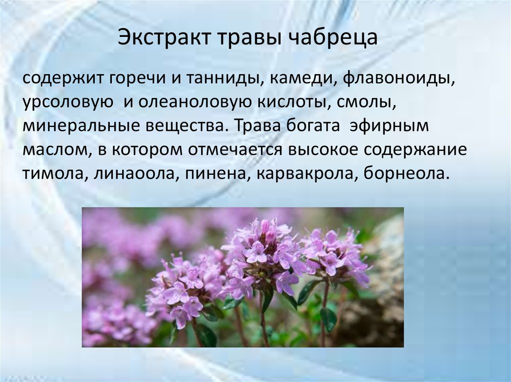 Чабрец сибирский. Чабер и чабрец. Орегано (душица). Чабрец содержит. Чабрец содержит.