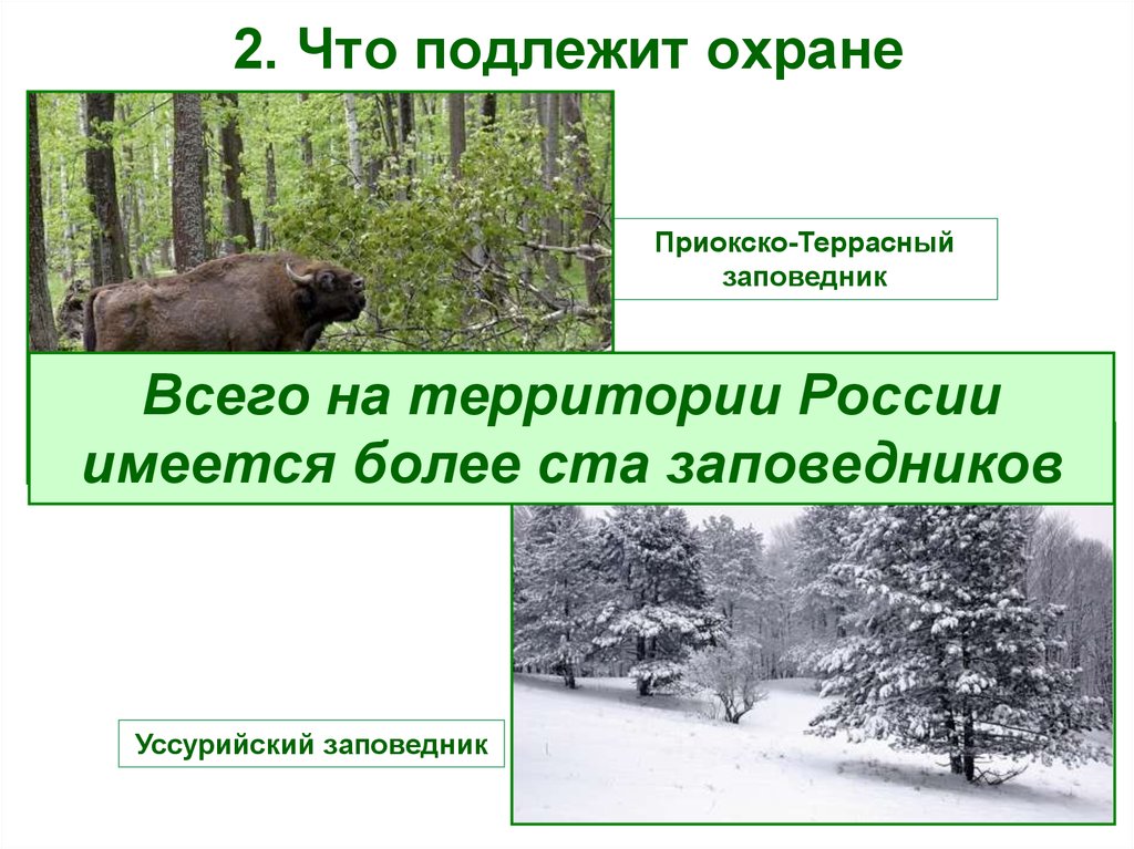 Охранять природу значит охранять жизнь презентация 7 класс обществознание