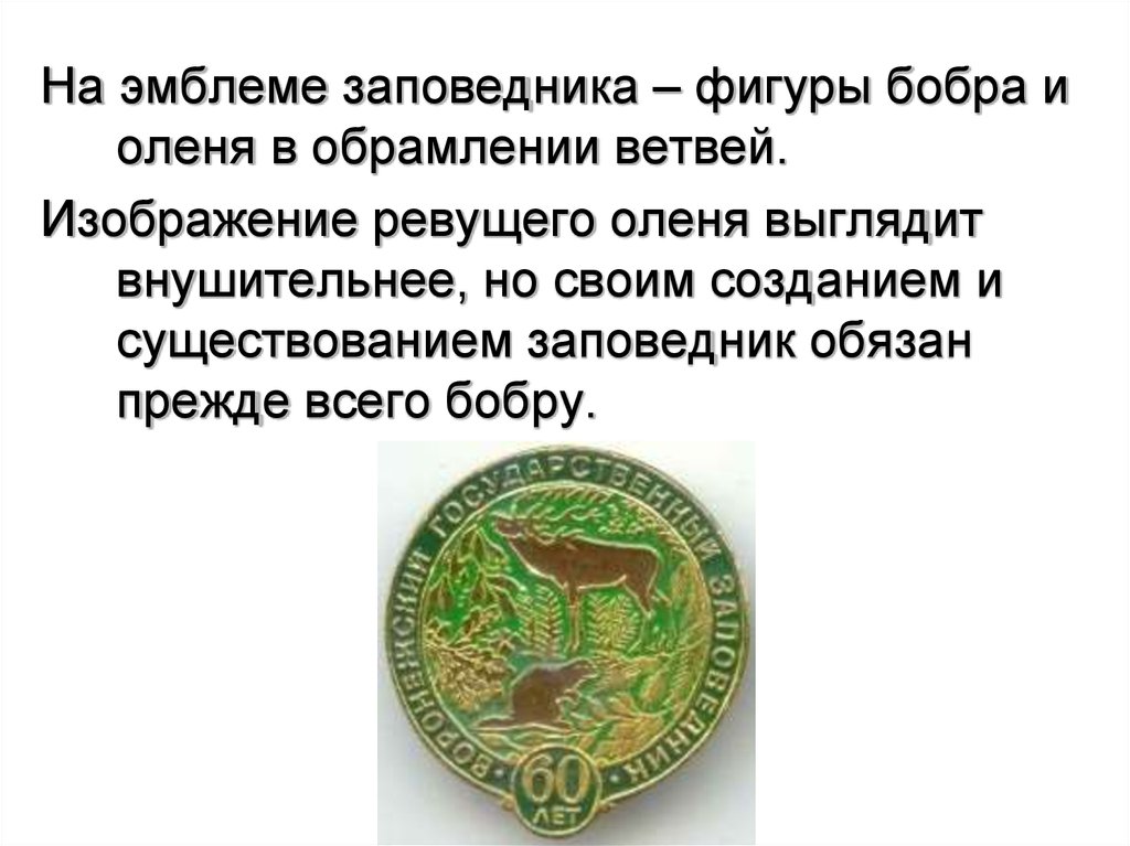 Охранять природу значит охранять жизнь презентация 7 класс обществознание боголюбов