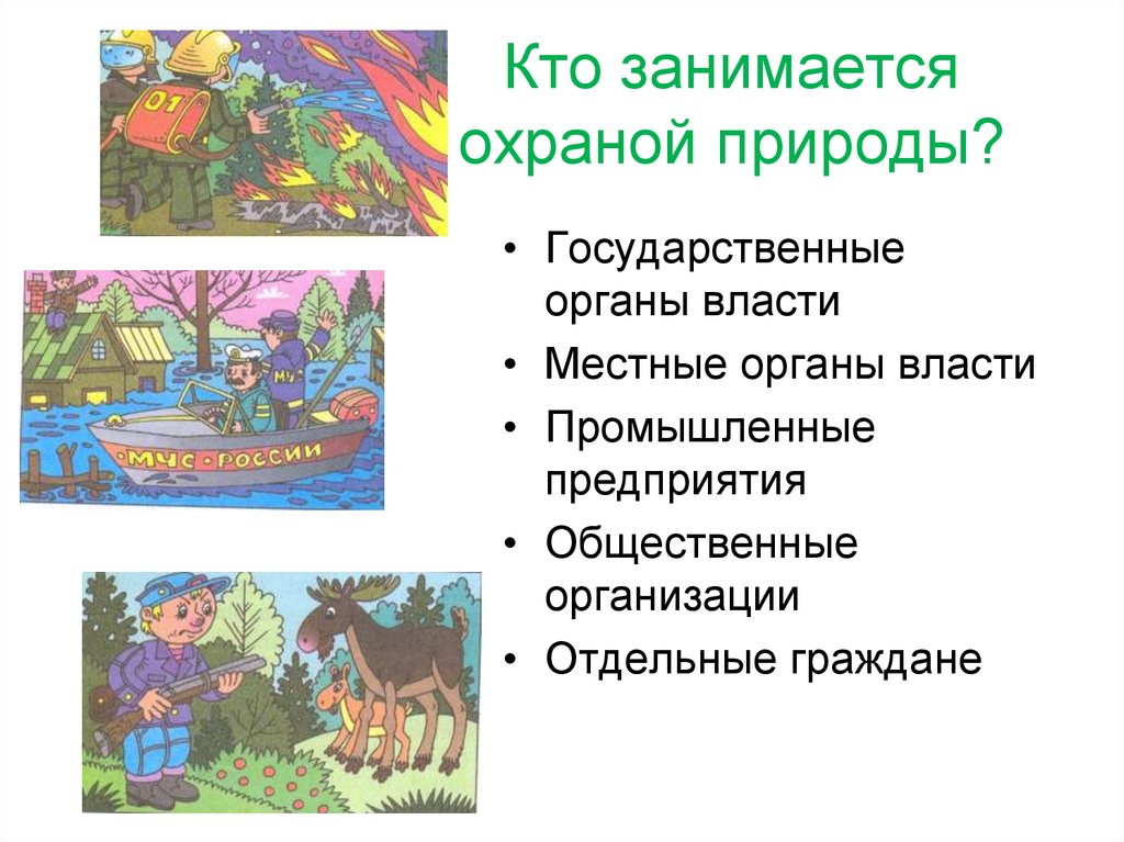 Закон на страже природы презентация 7 класс обществознание