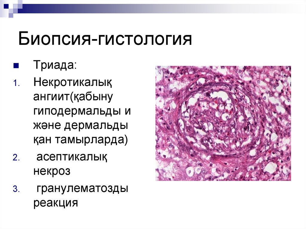 Кожа презентация гистология