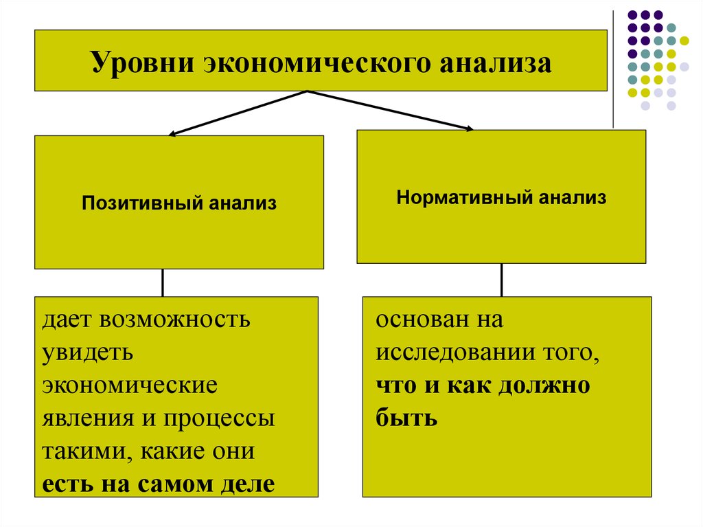 Позитивная теория экономики. Уровни экономического анализа. Уровни анализа в экономической теории. Уровни анализа экономики. Уровни исследования экономической теории.