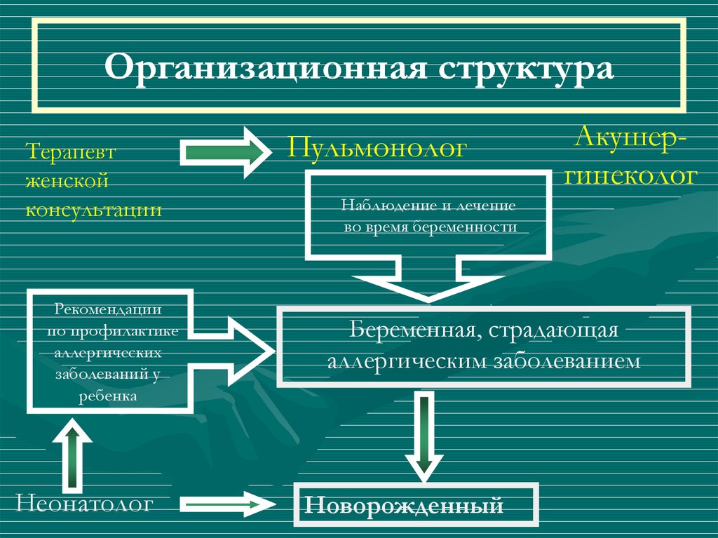 Организационная структура