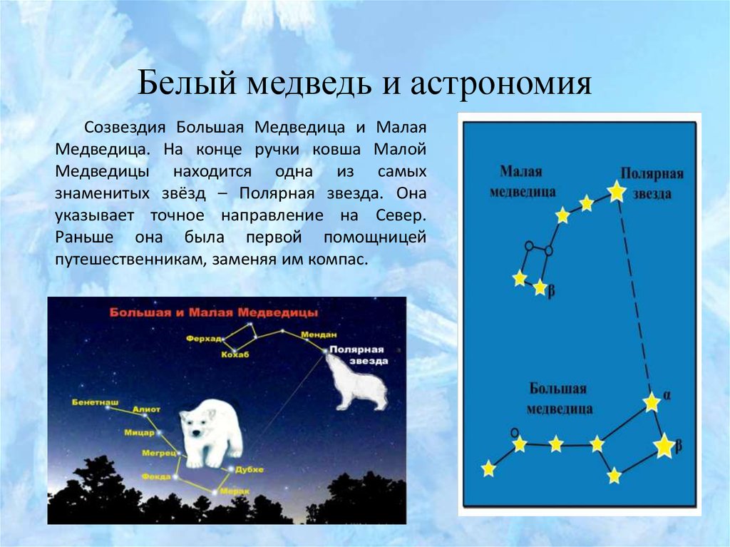 Полярная звезда строение. Большая и малая Медведица Созвездие Полярная звезда. Малая Медведица и Полярная звезда сообщение. Полярная звезда в ковше малой медведицы. Ковш малой медведицы и большой с полярной звездой.