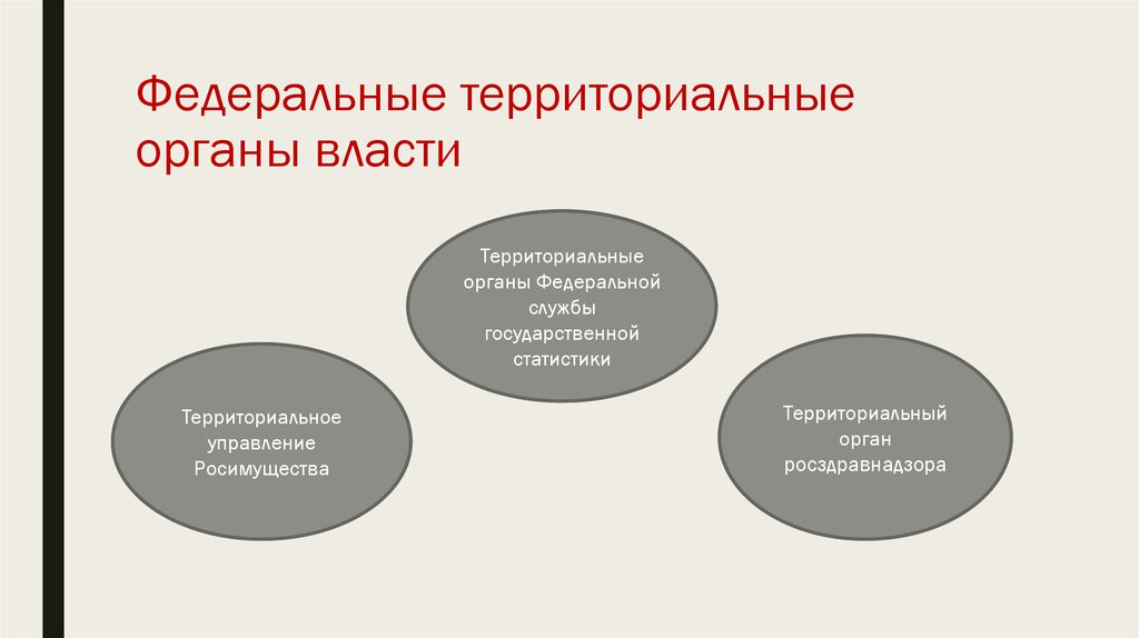 Территориальные органы федеральных органов власти. Территориальные органы. Территориальные органы государственной власти. Территориальные органы ФОИВ. Территориальные органы федеральных органов власти это.