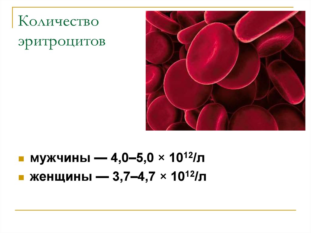 Уменьшение объема эритроцитов. Кровь анатомия эритроциты. Кол во эритроцитов в крови человека. Количество эритроцитов у человека.