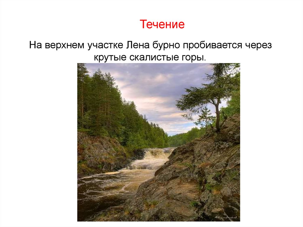 Течение лены. Река Лена. Течение реки Лена. Течение Лены реки. Верхнее течение реки Лена.