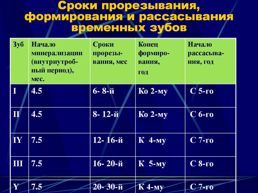 Сроки прорезывания постоянных зубов Статьи