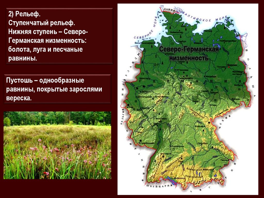 Форма рельефа низменности. Северо-Германская низменность в Германии. Северогерманская неизиенность. Рельеф Нижегородской области. Низменности Нижегородской области.