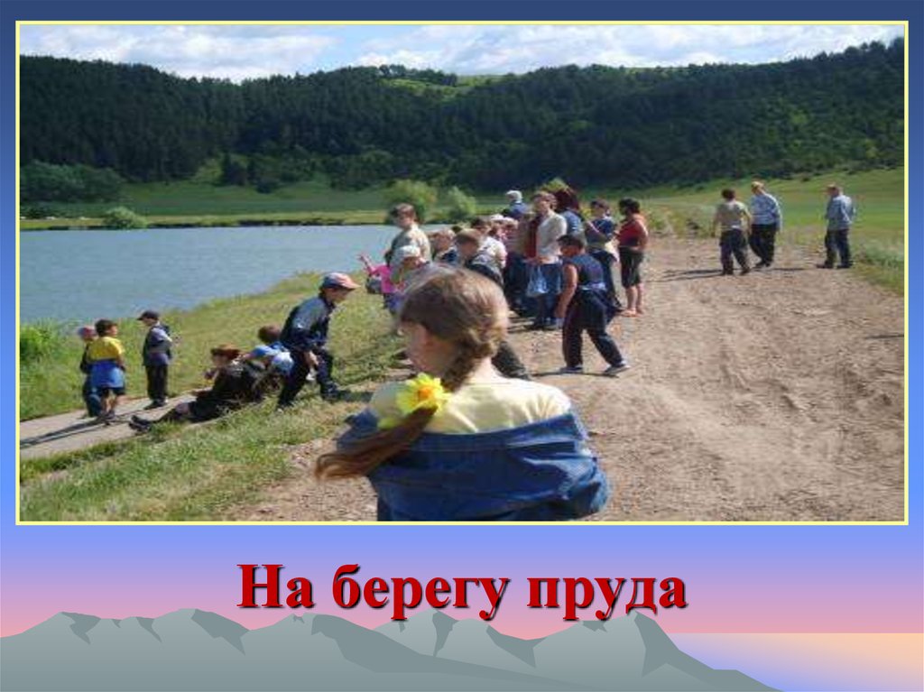 На берегу пруда