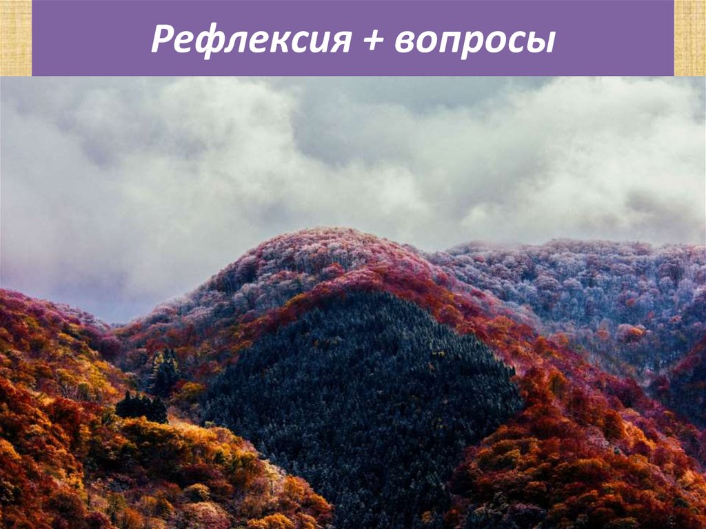 Рефлексия + вопросы