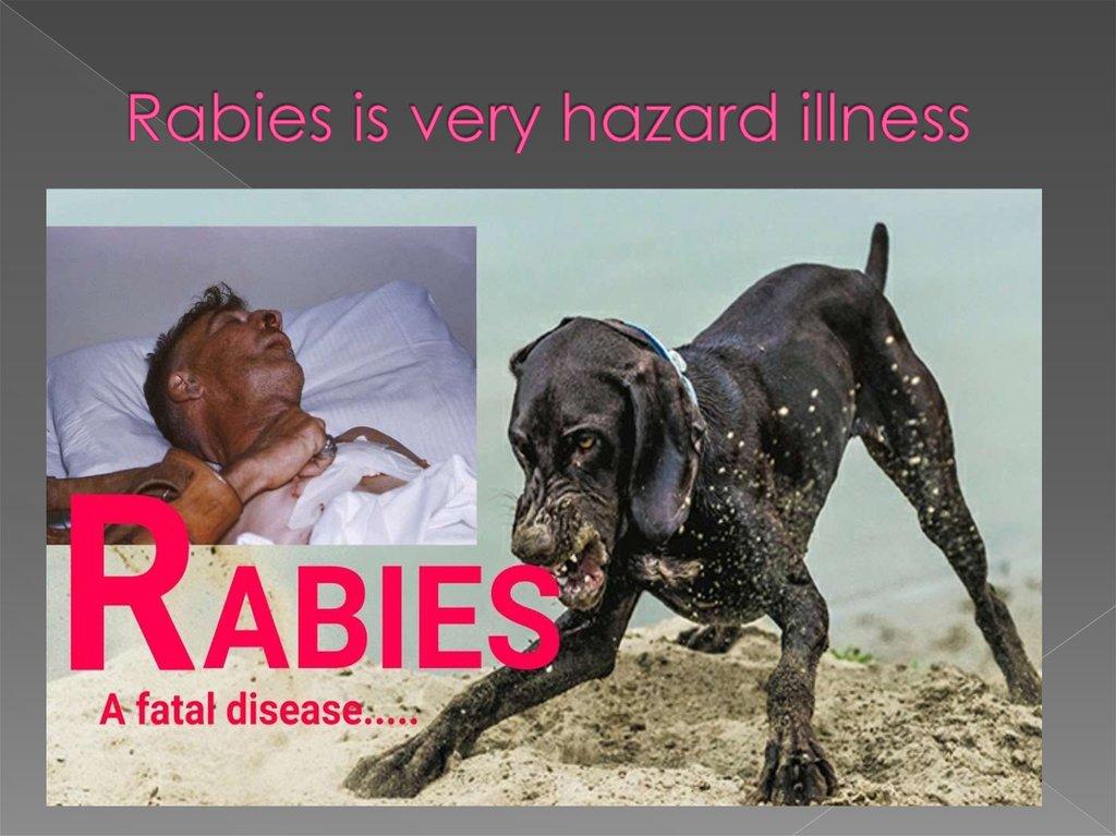 rabies-is-a-viral-disease-that-causes-inflammation-of-the-brain-in