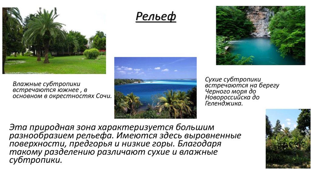 Субтропики какая природная зона. Природная зона влажные субтропики. Рельеф субтропиков. Рельеф субтропиков в России. Субтропики презентация.