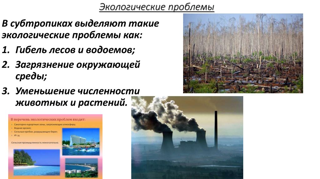 Зона проблемы. Экологические проблемы зоны субтропиков России. Экологические проблемы влажных субтропиков. Экологические проблемы в субтропиках России 4 класс окружающий мир. Экологические проблемы в зоне субтропиков.