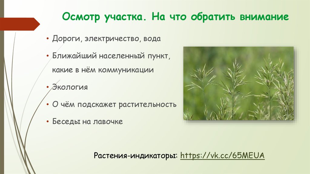 Осмотр участка. На что обратить внимание