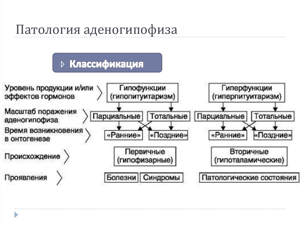 Формы патологии. Типовые формы патологии аденогипофиза. Аденогипофиз классификация. Типовые формы нарушений функций гипофиза. Классификация типовых форм патологии аденогипофиза:.