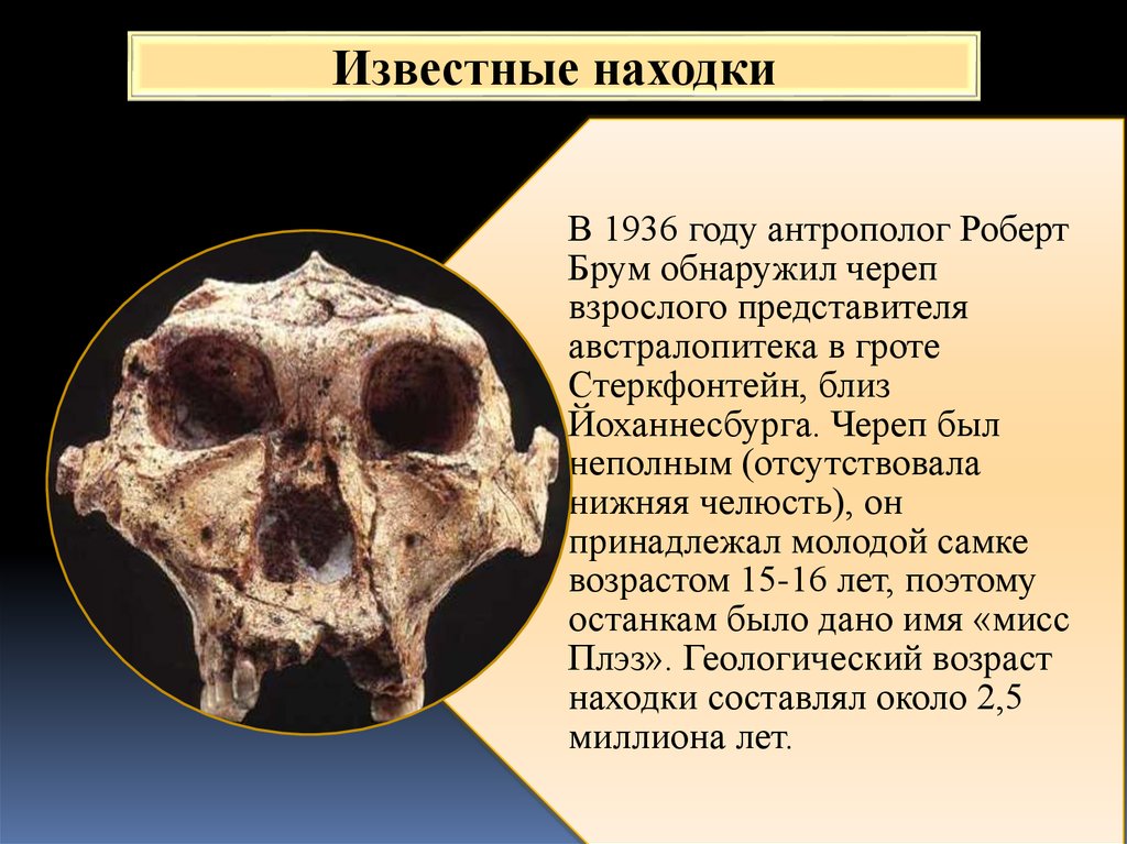 Афарский австралопитек презентация