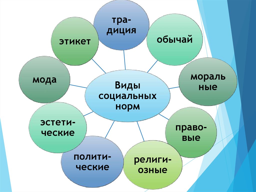 Контрольная социальные ценности и нормы 7 класс