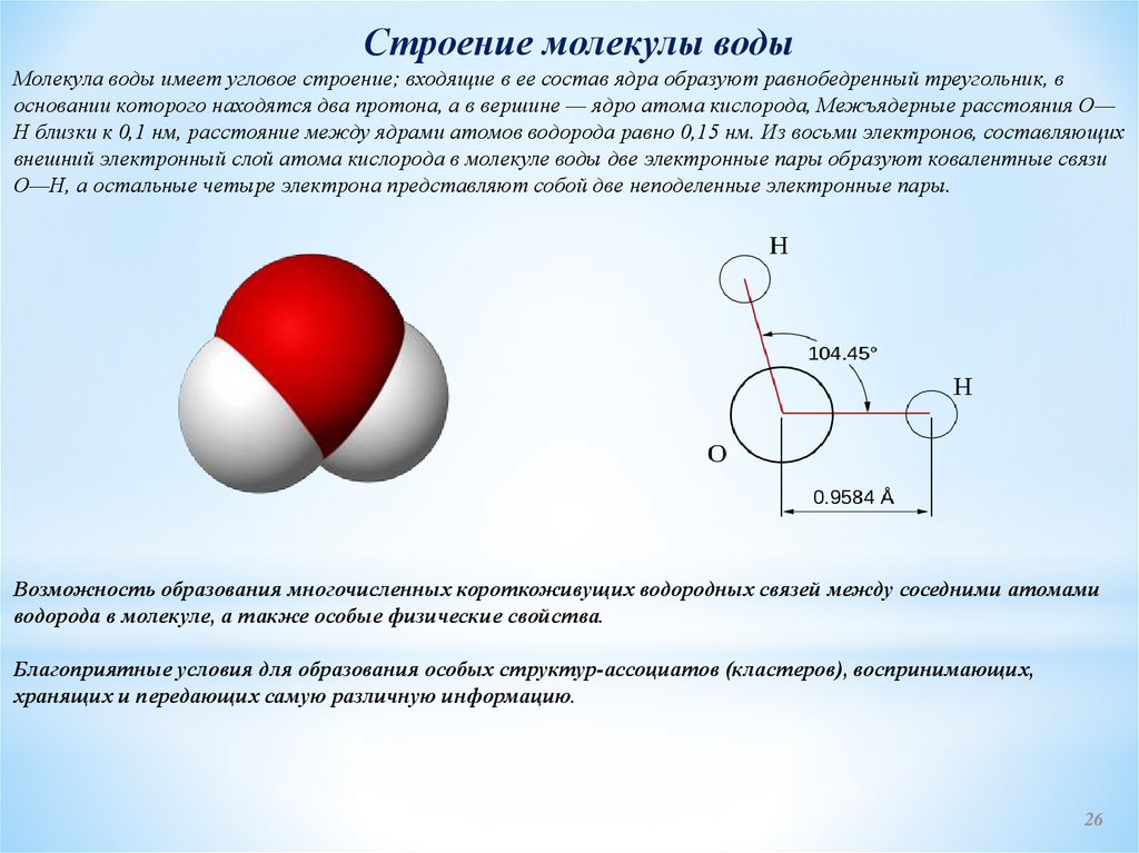 Части молекулы воды