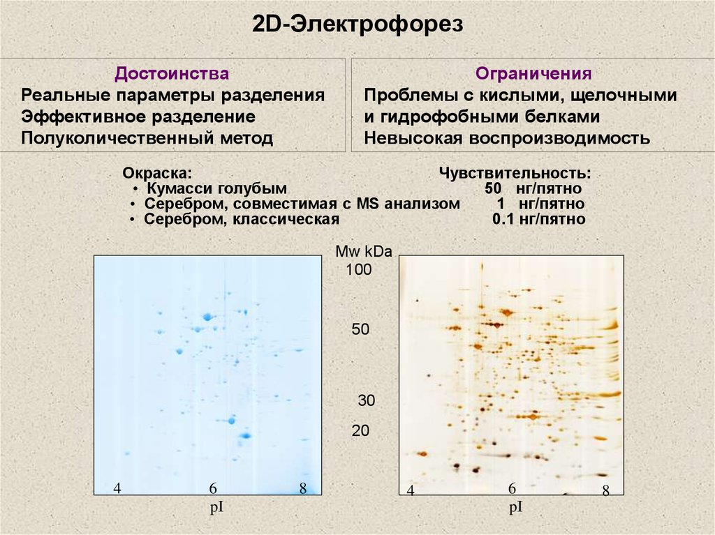 Электрофорез карта осу