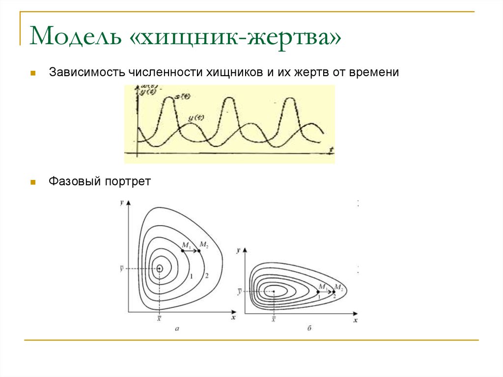 Фазовый портрет. Фазовый портрет системы хищник жертва. Модель хищник жертва лотки Вольтерра фазовый портрет. Мат модель хищник жертва. Модель Вольтерра лотки фазовый портрет.