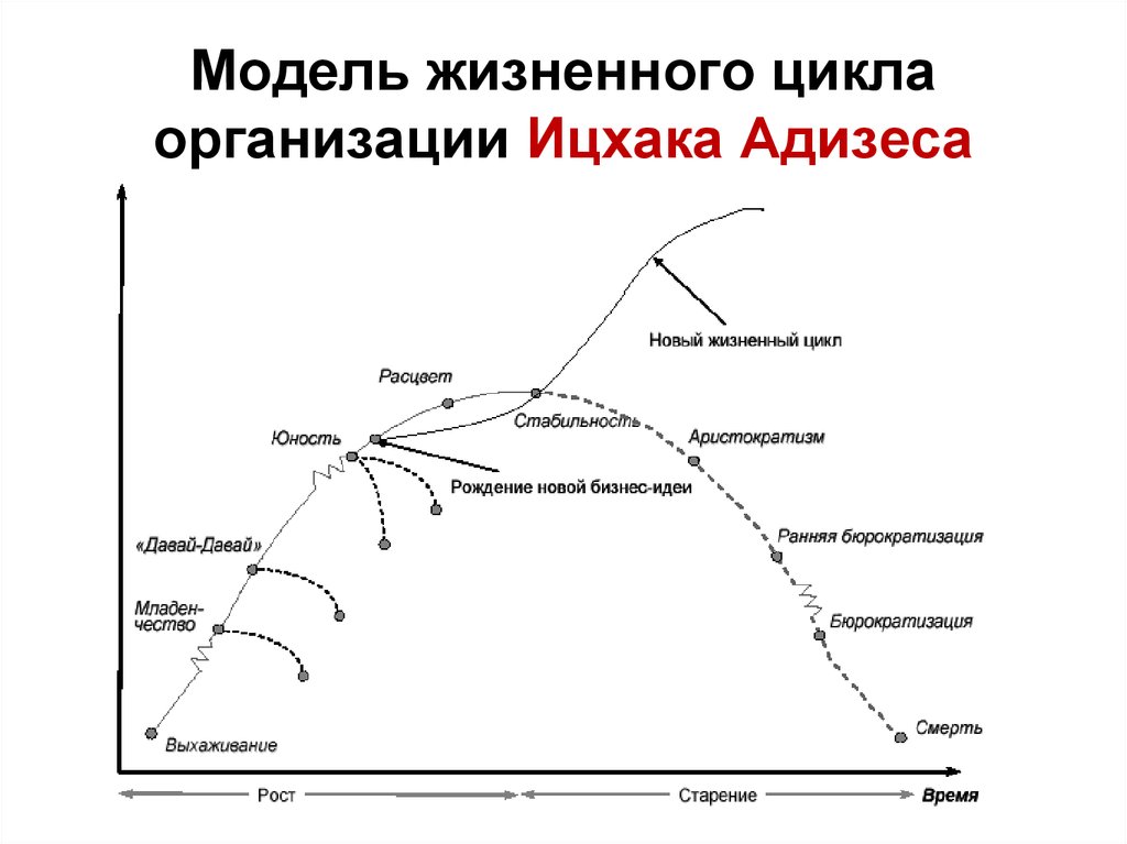Определите особенности жизненного цикла. Ицхак Адизес стадии жизненного цикла организации. Этап жизненного цикла организации по модели Ицхак Адизес. Ицхак Адизес модель жизненного цикла. Ицхак Адизес циклы жизни компании.