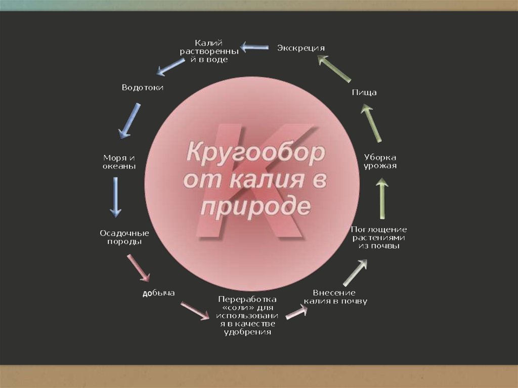 Кальций в биосфере. Цикл калия в природе. Круговорот калия схема. Круговорот калия в природе. Круговорот калия в природе схема.