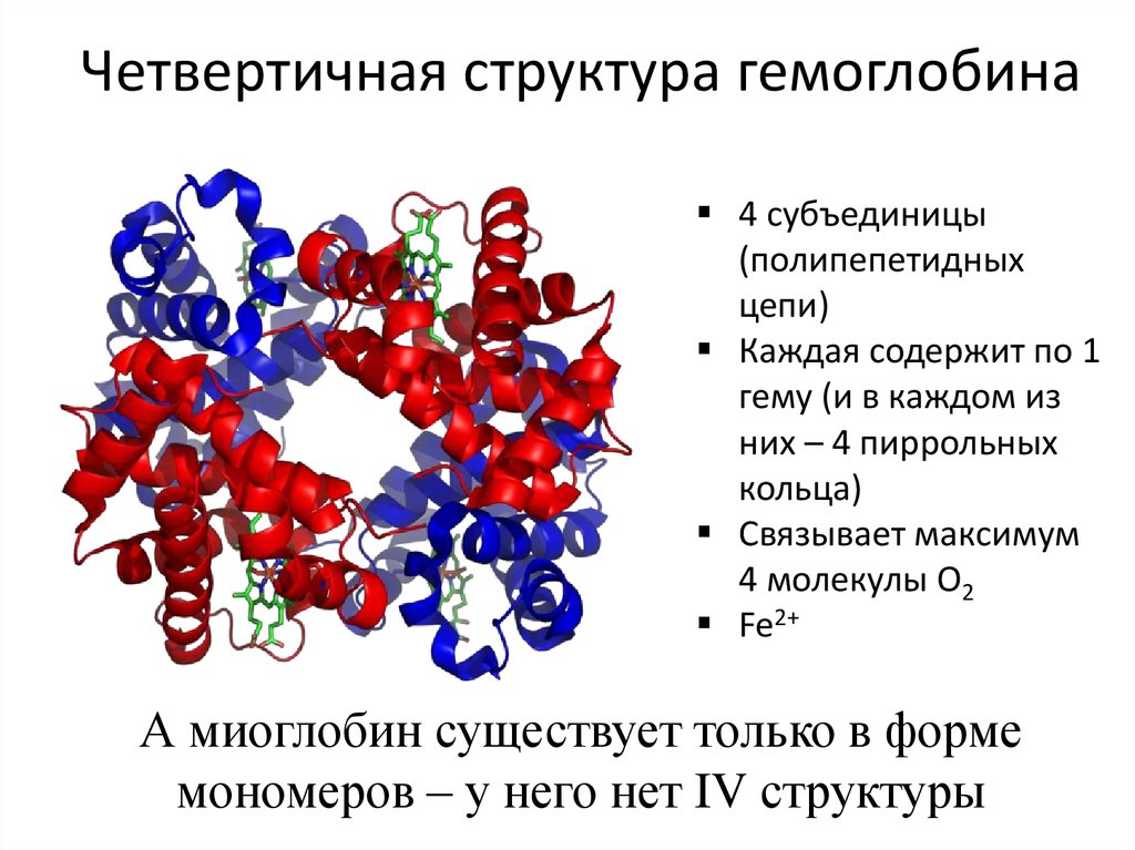 Химическая связь белков. Четвертичная структура гемоглобина схема. Четвертичная структура гемоглобина. Четвертичная структура белка гемоглобина. Структура гемоглобина а1.