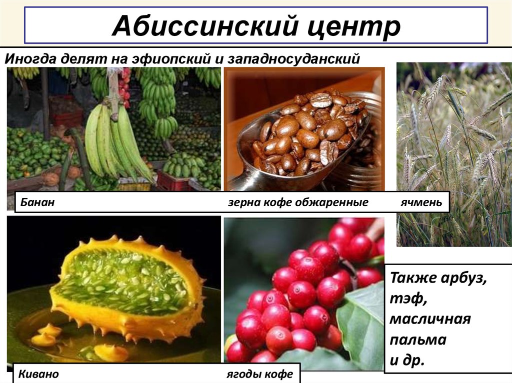 Презентация на тему разнообразие и происхождение культурных растений 6 класс