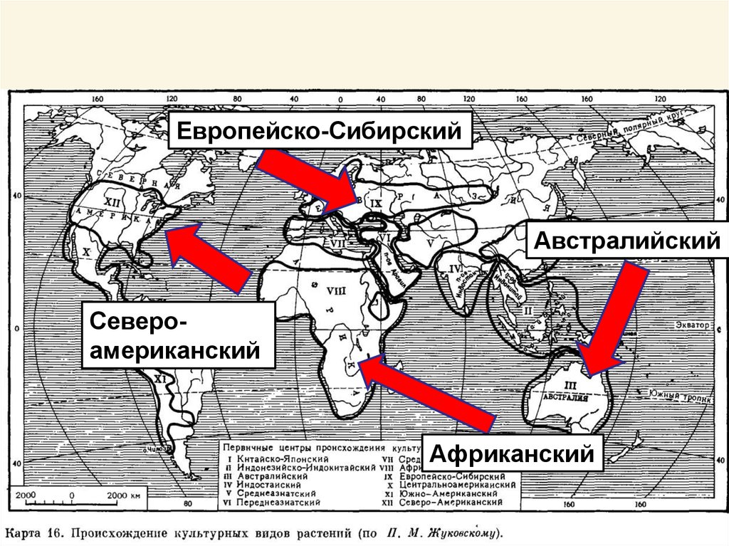 Презентация центры происхождения культурных растений 7 класс