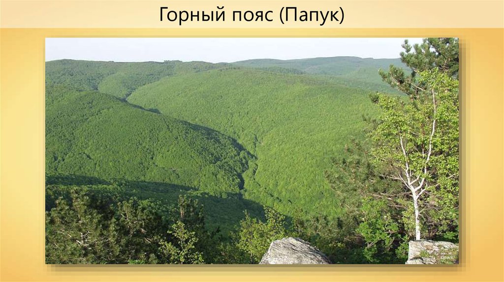 Рельеф. Классификация - презентация онлайн