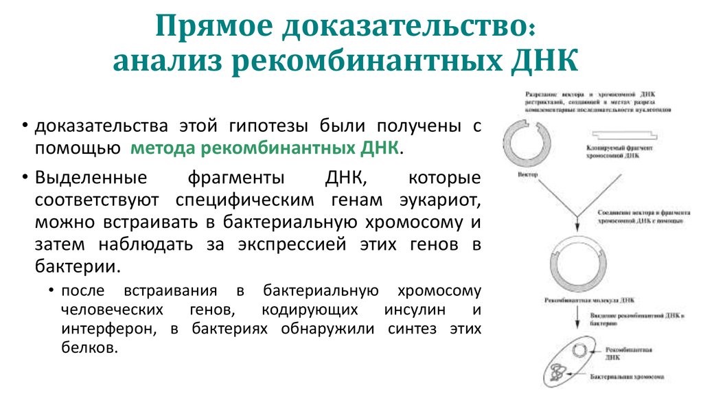 Анализ доказательств