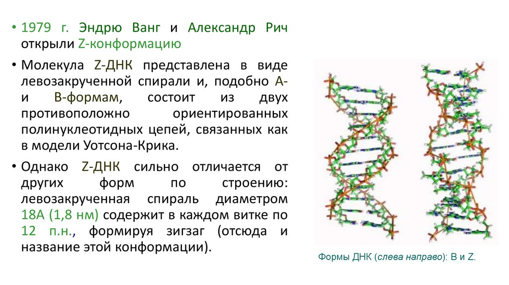 Характеристика структуры днк. Первичная вторичная и третичная структура ДНК. Вторичная структура ДНК представлена. Молекула ДНК В третичной структуре. Первичная и вторичная структура ДНК И РНК.