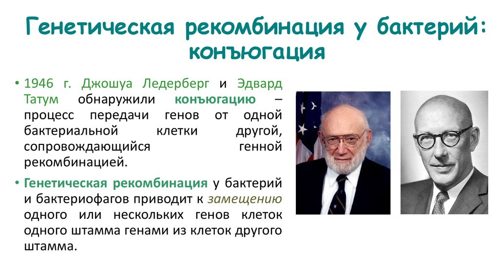 Генетическая система. Зиндер и Ледерберг. Генетические рекомбинации у бактерий. Механизмы генетических рекомбинаций у бактерий. Типы генетических рекомбинаций у бактерий.