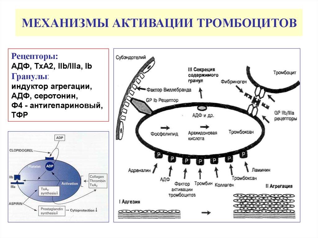 Механизм активации