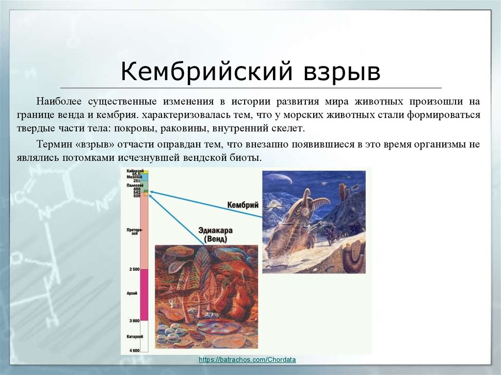 Кембрийский взрыв эволюции презентации