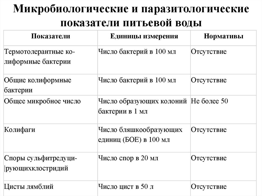 Колиформные бактерии в питьевой воде