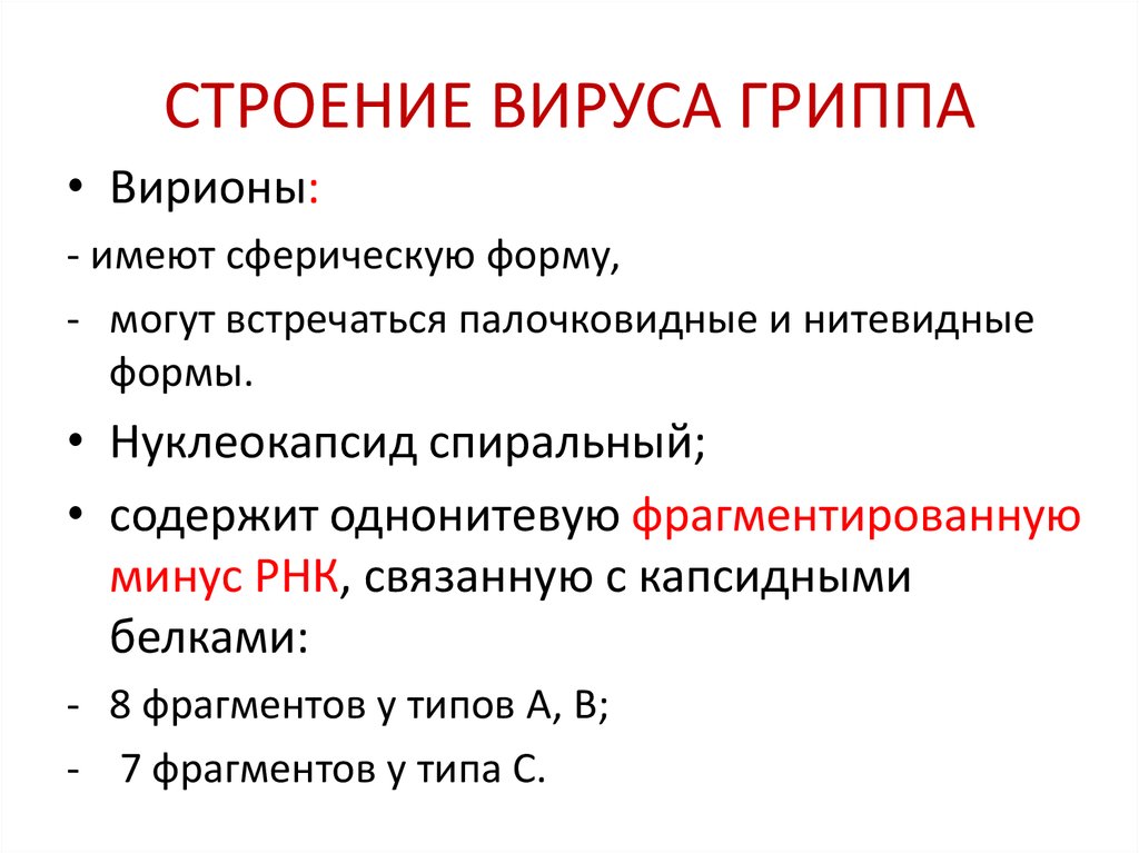 Какой возбудитель гриппа. М2 белок вируса гриппа функция. Возбудитель гриппа морфология. Характеристика возбудителя гриппа. Возбудитель гриппа культурные свойства.