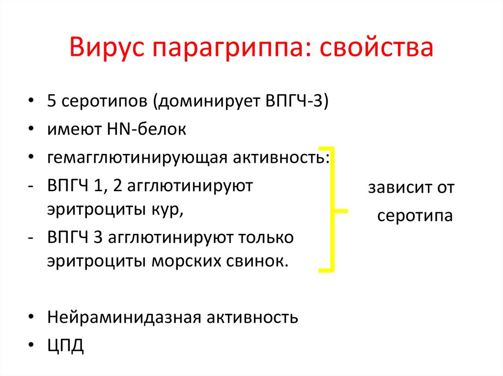 Свойства вирусов. Вирус парагриппа. Антигенная структура парагриппа. Свойства вируса парагриппа. Парагрипп характеристика возбудителя.