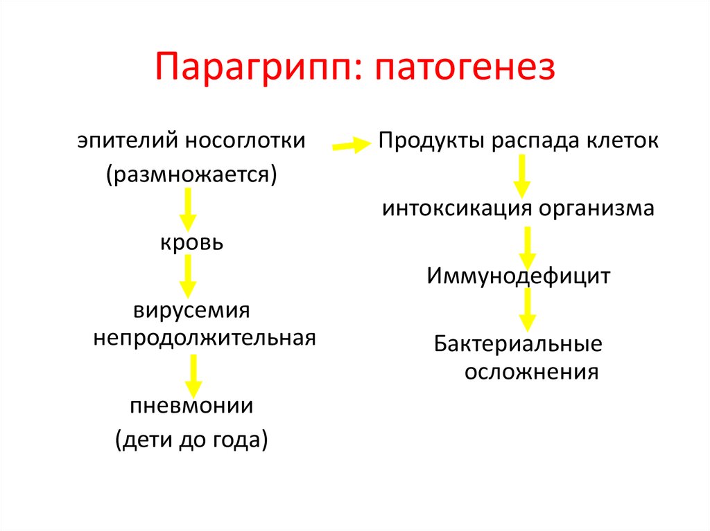 Патогенез гриппа схема