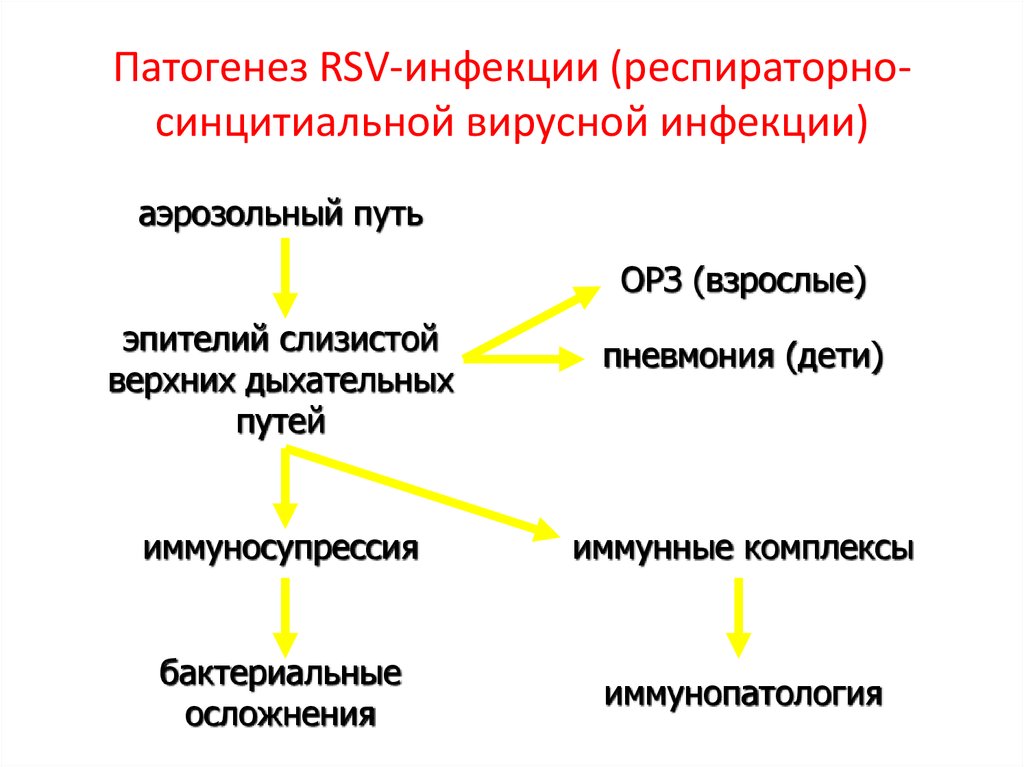 Патогенез RSV-инфекции (респираторно-синцитиальной вирусной инфекции)