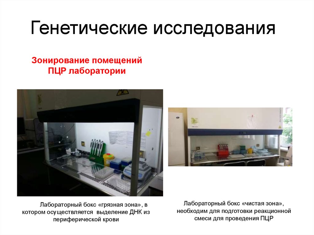 Организация пцр. Оборудование для ПЦР лаборатории. Зоны лаборатории. Чистая и грязная зона в лаборатории. Грязная зона в ПЦР лаборатории.