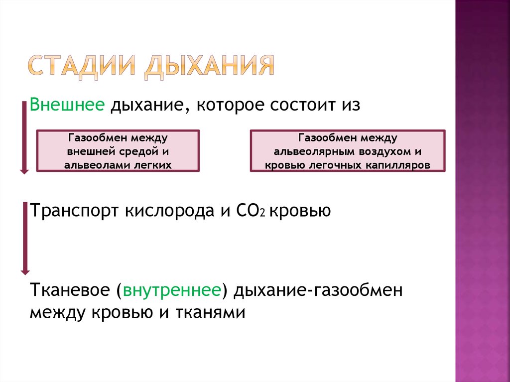 Третий этап дыхания