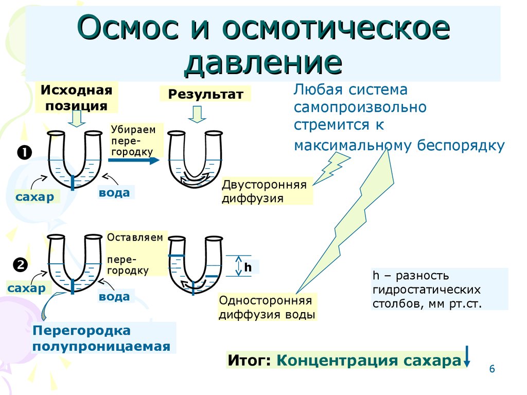 Осмотическое давление это простыми словами