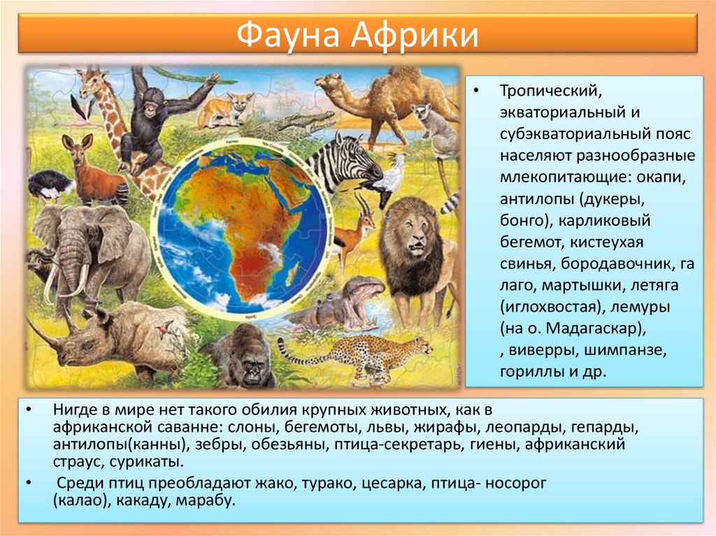 Африки животный география