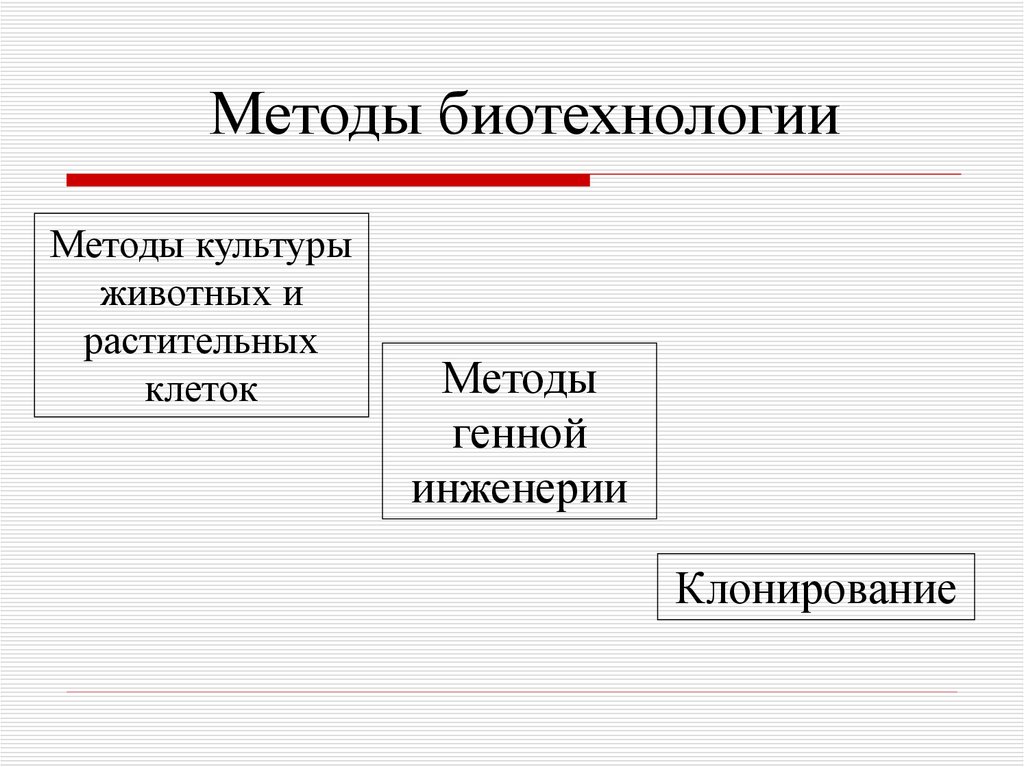 Реферат Генная Инженерия Клонирование