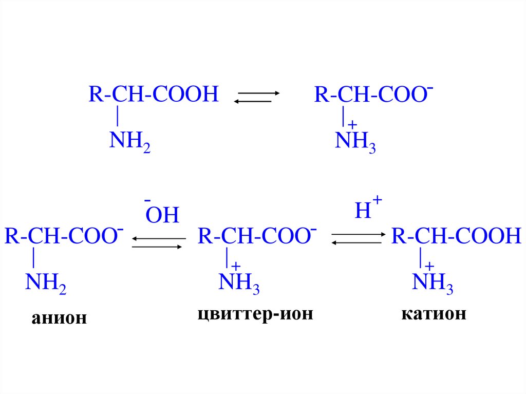Белок катион. Образование цвиттер-ионов аминокислот. Образование цвиттер Иона аминокислот. Цвиттер Ион аспарагиновой кислоты. Цвиттер ионная форма аминокислот.