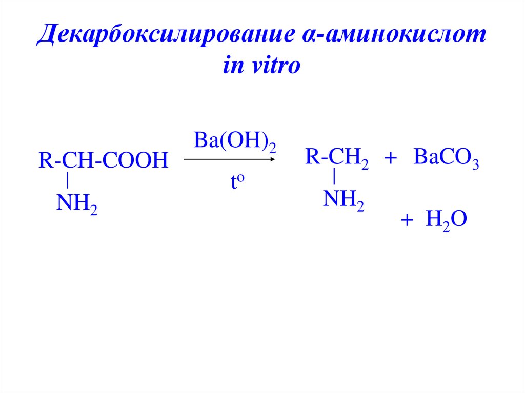 Декарбоксилирование α-аминокислот in vitro