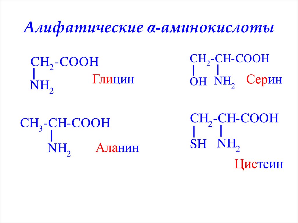 Глицин бензол. Алифатические и ароматические аминокислоты. Ациклические (алифатические) аминокислоты. Алифатические аминокислоты формула. Алифатические Альфа аминокислоты.