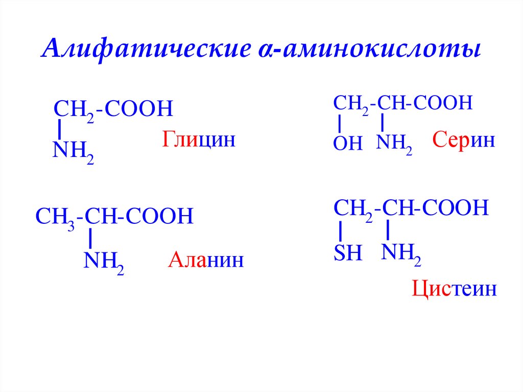 Что такое аминокислоты. Ациклические (алифатические) аминокислоты. Глицин аланин серин. Трипептид глицин аланин цистеин. Глицин и цистеин реакция.